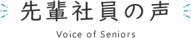 先輩社員の声